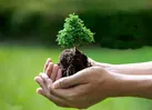 ۴ گام کلیدی برای داشتن «ایران سبز»