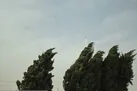 وزش باد نسبتا شدید در شمال کشور/ کاهش دما تا ۱۰ درجه