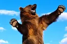 ببینید | مبارزه فرضی با خرس!
