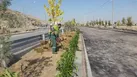 آغاز عملیات واکاری و کاشت ۲۰ هزار درخت و درختچه در منطقه ۹ اصفهان