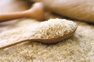 برنج هندی و پاکستانی؛مضر یا مصنوعی؟!