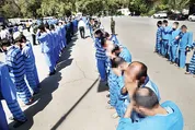 تک پلیس به دزدان و مالخران پایتخت