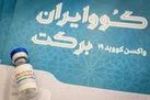 ایمنی‌زایی بیش از ۸۵ درصدی واکسن برکت/ بررسی‌ واکسن برای تزریق بر سنین ۱۲ تا ۱۸ سال