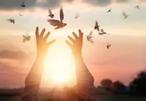 آزادی یک محکوم به قصاص در قزوین 
