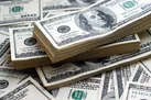 قیمت دلار ثابت ماند | قیمت دلار در صرافی ملی ایران