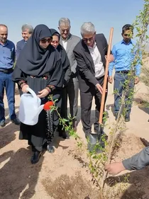 بازدید رئیس سازمان محیط زیست از پارک جنگلی زاهدان