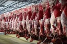 ۲۷ تن مرغ و گوشت قرمز در ایلام توزیع شد