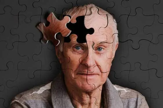 غذا‌های ضد آلزایمر کدامند؟