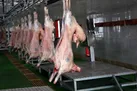 کمبودی در بازار گوشت قرمز وجود ندارد