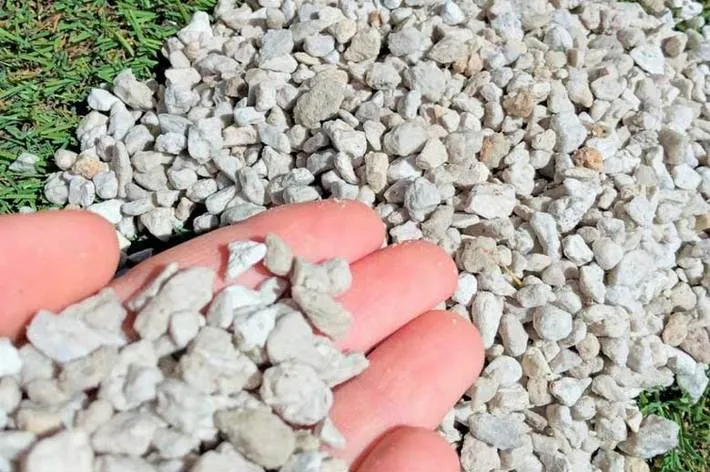 رشد سریع نهال با پوکه معدنی
