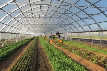 احداث ۱۳۶ هکتار شهرک گلخانه‌ای در فامنین 