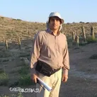گلستان در یک دهه اخیر بیش از ۵۵۰ اثر را ثبت ملی کرده است