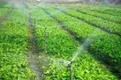 اجرای طرح تحویل حجمی و صرفه جویی 10 میلیون مترمکعبی آب  در یزد
