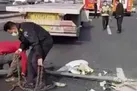 راز سقوط ۵تیر چراغ برق در بزرگراه آزادگان فاش شد