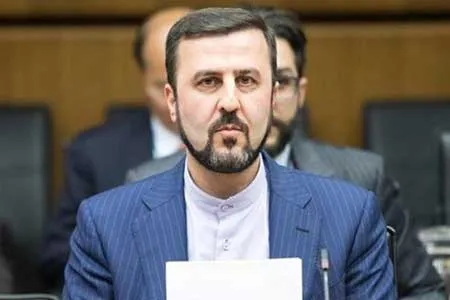 قطعنامه صادره مبتنی بر انگیزه‌های سیاسی است
