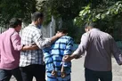کیس عنکبوت شهرداری سنندج به دام افتاد