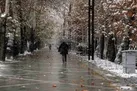 تهران سردتر می شود