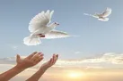 آزادی ۸۹ زندانی جرائم غیر عمد یزدی از ابتدای سال