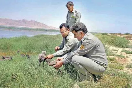 از شکارچیان بیشتر حمایت می‌شود!