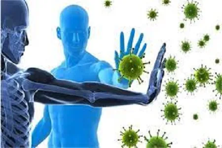 بدن خود را با عدس مقابل کرونا مقاوم کنید