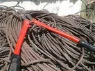 انهدام باند سارقان روشنایی در کرمانشاه