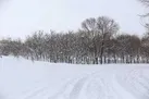 بارش برف و باران و کاهش دما / از سفرهای برون‌شهری خودداری کنید
