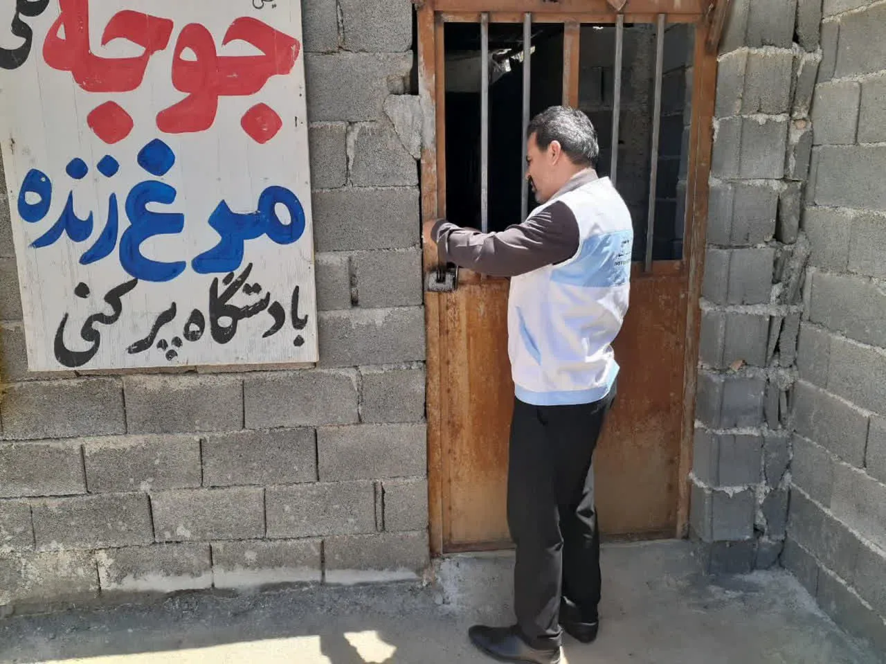 پلمب مراکز غیرمجاز عرضه مرغ زنده در منطقه مزدک با دستور مقام قضایی