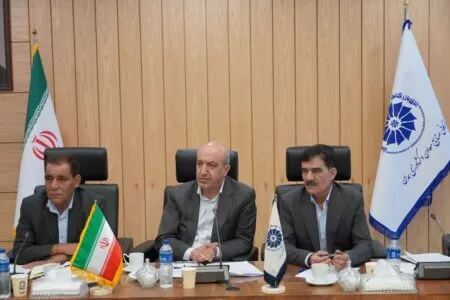 بانک‌ها بدون بخش خصوصی شکست می‌خورند