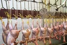ممنوعیت عرضه مرغ قطعه بندی شده در واحدهای صنفی