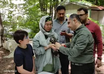 همیاری مردم و محیط‌بانان گلستان برای نجات جانوران آسیب‌پذیر