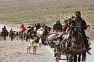 بهسازی راه های عشایری خسارت دیده از سیل در ایلام آغاز شد