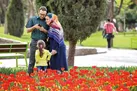 فرزند کمتر زندگی غمگین‌تر