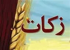 همدانی‌ها ۳۱ میلیارد تومان زکات پرداخت کردند