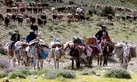 زنان خانه دار روستایی و عشایری دارای سه فرزند بیمه می شوند