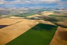 همدان اولین استان آزمونه اصلاح الگوی کشت