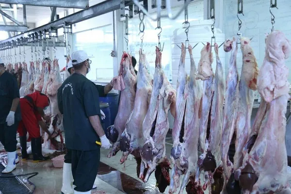 جایگاه‌های عرضه بهداشتی دام تاسوعا و عاشورا باز است