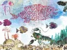 سوییمی، ماهی سیاه کوچولو