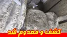 کشف و معدوم‌سازی ۲۵۰ کیلوگرم گوشت فاسد