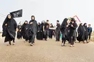 راهنمای جامع پیاده‌روی از نجف تا کربلا