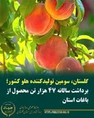 گلستان، سومین تولیدکننده هلو کشور