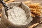 فساد در توزیع یارانه ها زیاد بود | ۷۰ درصد واردات کالاهای اساسی توسط بخش خصوصی