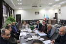 رفع موانع بانکی شرکت لبنی راین با حمایت نهادهای استانی