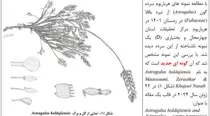 معرفی گونه جدید گیاهی چهارمحال و بختیاری در مجله علمی بین المللی