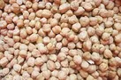 نجات اقتصاد نخود با پیگیری نماینده کرمانشاه