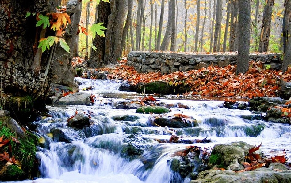 دره چهلمیر درگز ۲ روز تعطیل شد