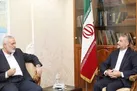 رژیم صهیونیستی ضعیف تر از آن شده که در برابر مقاومت فلسطین تاب آورد
