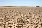 تهدید با خاک