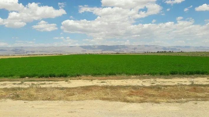 اجرای پروژه آبیاری زیر سطحی هنرستان کشاورزی شهید یوسفی۲
