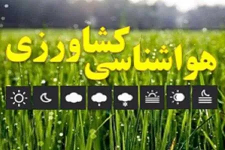طغیان کنه تارتن در باغات مرکز کشور / دامداران در مناطق شمال غرب و جنوب شرق برای چرای دام به ارتفاعات نروند