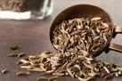 گیاهی که ناراحتی های گوارشی را درمان می‌کند